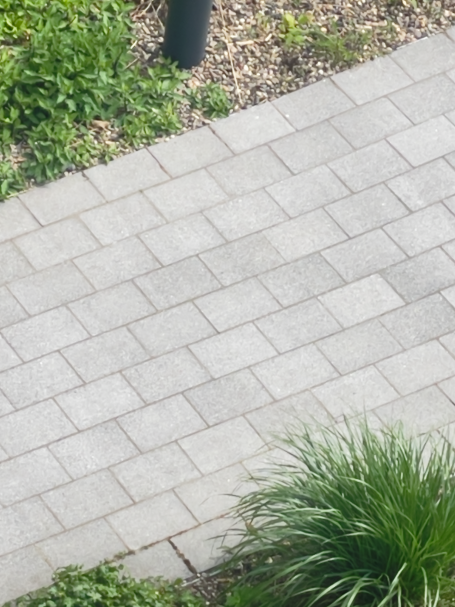Gepflasterter Weg mit grünem Gras am Rand.